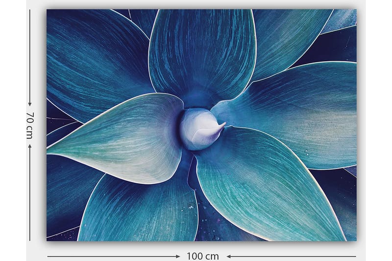 Lerretsbilde 70x100 cm - Stilisert nærbilde av en plante med store, bølgete blader - Blå / Turkis - Interiør - Maleri & posters - Lerretsbilder