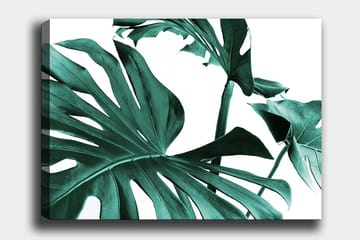Lerretsbilde 70x100 cm - Stiliserte grønne palmeblader mot hvit bakgrunn - Mørkegrønn / Turkis - Interiør - Maleri & posters - Lerretsbilder