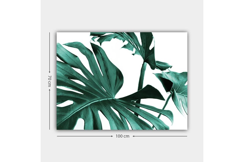 Lerretsbilde 70x100 cm - Stiliserte grønne palmeblader mot hvit bakgrunn - Mørkegrønn / Turkis - Interiør - Maleri & posters - Lerretsbilder