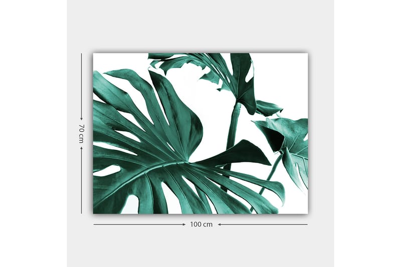 Lerretsbilde 70x100 cm - Stiliserte grønne palmeblader mot hvit bakgrunn - Mørkegrønn / Turkis - Interiør - Maleri & posters - Lerretsbilder