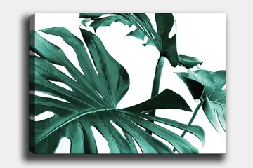 Lerretsbilde 70x100 cm - Stiliserte grønne palmeblader mot hvit bakgrunn - Mørkegrønn / Turkis - Interiør - Maleri & posters - Lerretsbilder