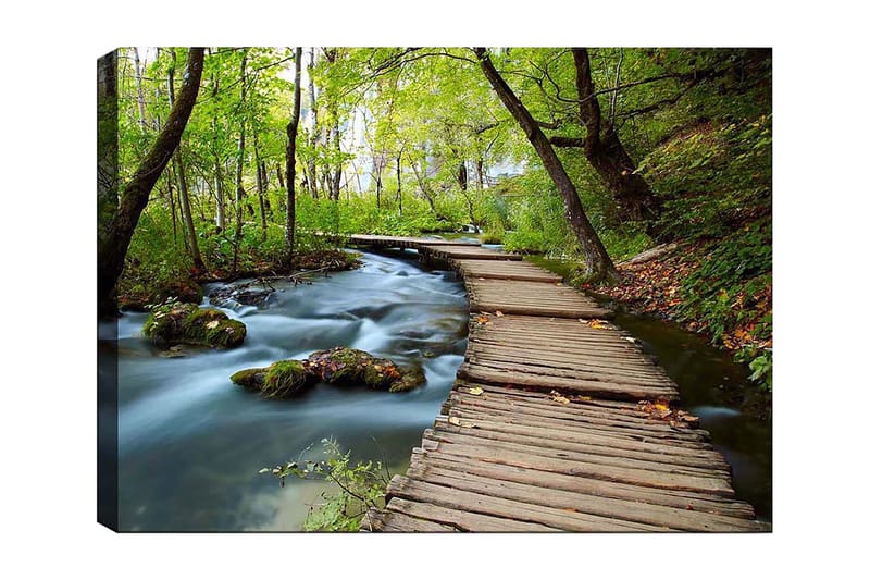 Lerretsbilde 70x100 cm - Stille skogssti som slynger seg over en klukkende bekk omgitt av frodige trær og vegetasjon, Grønn / Brun / Blå
