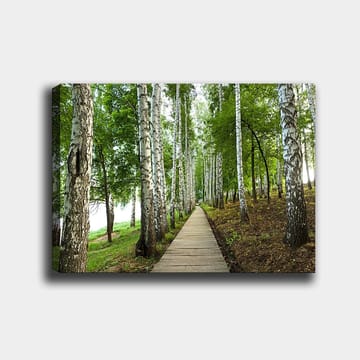 Lerretsbilde 70x100 cm - Stille skogsvei omgitt av bjørker og frodig vegetasjon - Grønn / Hvit / Brun - Interiør - Maleri & posters - Lerretsbilder