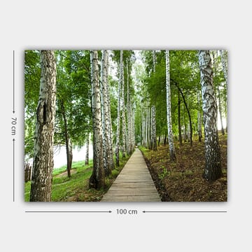 Lerretsbilde 70x100 cm - Stille skogsvei omgitt av bjørker og frodig vegetasjon - Grønn / Hvit / Brun - Interiør - Maleri & posters - Lerretsbilder