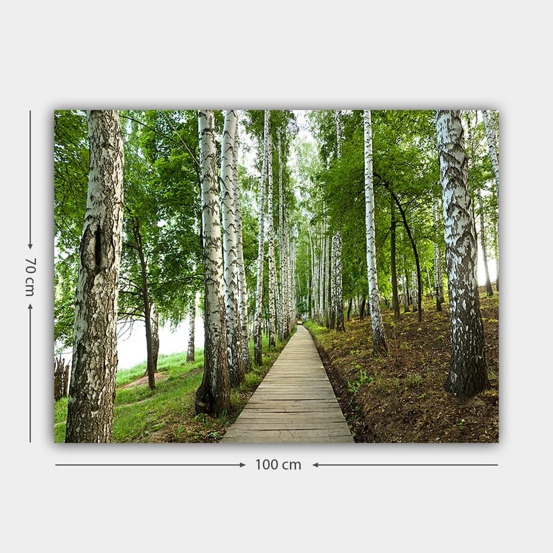 Lerretsbilde 70x100 cm - Stille skogsvei omgitt av bjørker og frodig vegetasjon - Grønn / Hvit / Brun - Interiør - Maleri & posters - Lerretsbilder