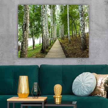 Lerretsbilde 70x100 cm - Stille skogsvei omgitt av bjørker og frodig vegetasjon - Grønn / Hvit / Brun - Interiør - Maleri & posters - Lerretsbilder