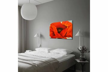 Lerretsbilde 70x100 cm - Stor, fargerik valmue med intense røde og oransje toner - Rød / Oransje - Interiør - Maleri & posters - Lerretsbilder