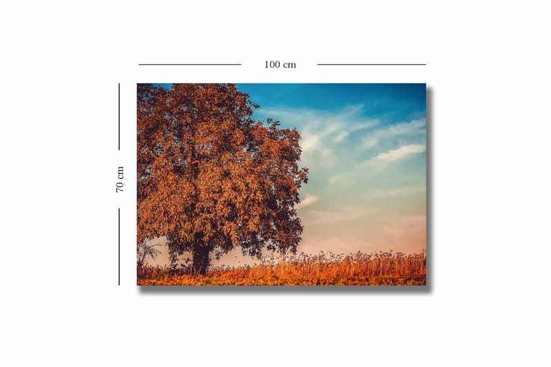 Lerretsbilde 70x100 cm - Stor, oransje trekrone i høstfarger mot en klar blå himmel - Oransje / Blå / Beige - Interiør - Maleri & posters - Lerretsbilder