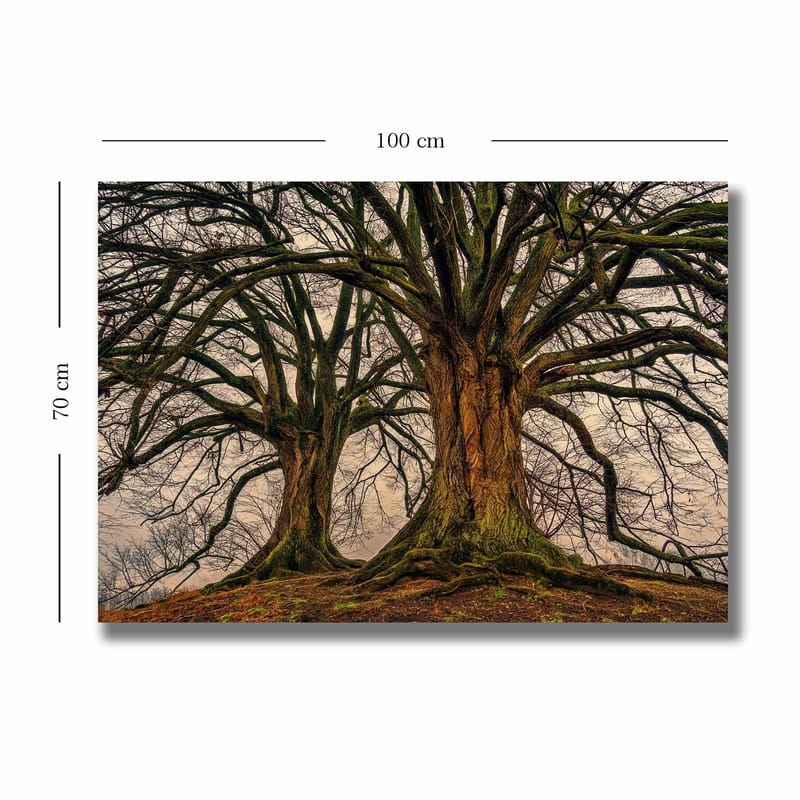 Lerretsbilde 70x100 cm - Storslåtte trær med sterke grener og detaljert bark - Mørk brun / Grønn / Beige - Interiør - Maleri & posters - Lerretsbilder