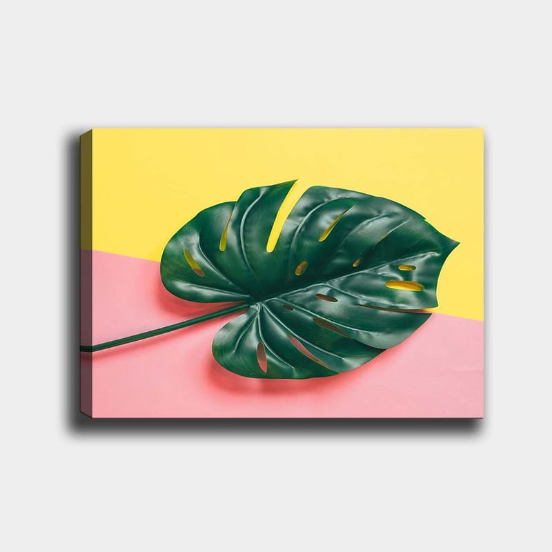 Lerretsbilde 70x100 cm - Stort, grønt monsterablad mot en fargerik bakgrunn av gult og rosa, Grønn / Gul / Rosa