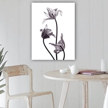 Lerretsbilde 70x100 cm - Svart-hvite tulipaner med elegante former som strekker seg mot toppen - Svart / Grå - Interiør - Maleri & posters - Lerretsbilder