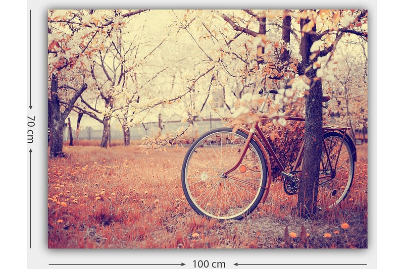 Lerretsbilde 70x100 cm - Sykkel lent mot et tre i en blomstrende frukthage om våren - Oransje / Brun / Grå - Interiør - Maleri & posters - Lerretsbilder