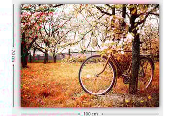 Lerretsbilde 70x100 cm - Sykkel lent mot et tre i et høstlandskap med oransje og gule blader - Oransje / Gul / Brun - Interiør - Maleri & posters - Lerretsbilder