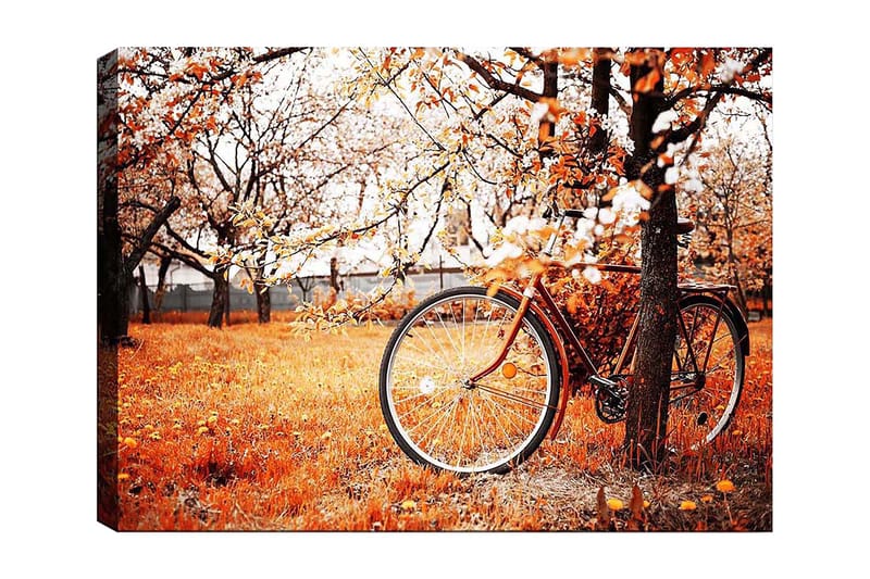Lerretsbilde 70x100 cm - Sykkel lent mot et tre i et høstlandskap med oransje og gule blader, Oransje / Gul / Brun