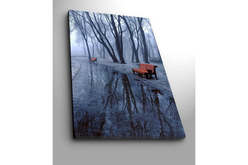 Lerretsbilde 70x100 cm - Tåkete park med to oransje benker omgitt av kalde, nakne trær - Oransje / Blå / Grå - Interiør - Maleri & posters - Lerretsbilder