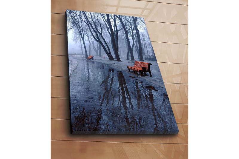 Lerretsbilde 70x100 cm - Tåkete park med to oransje benker omgitt av kalde, nakne trær - Oransje / Blå / Grå - Interiør - Maleri & posters - Lerretsbilder