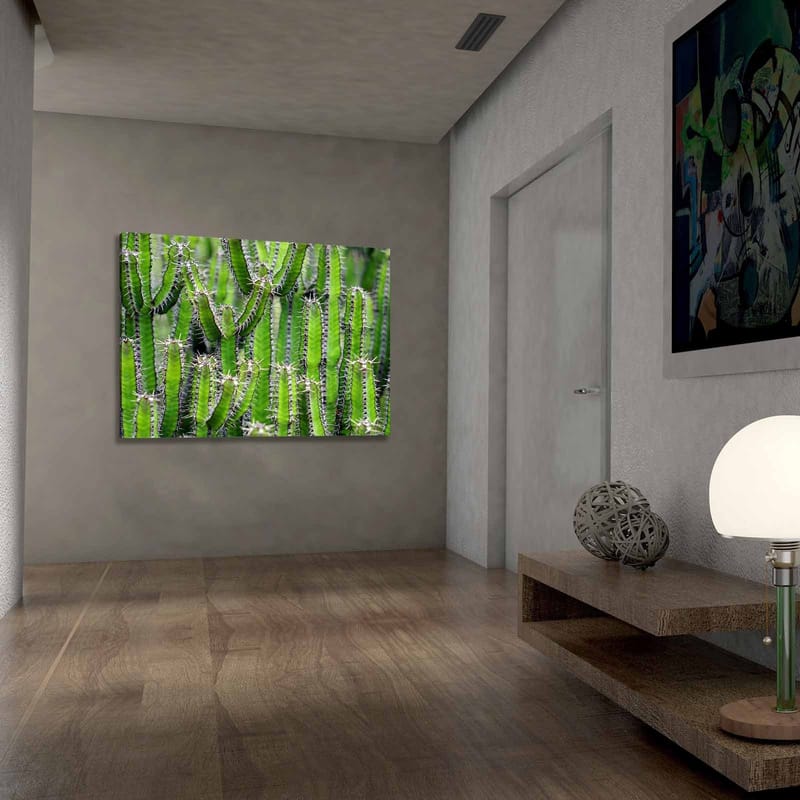 Lerretsbilde 70x100 cm - Tett samling av kaktus med lange, smale stilker og torner - Grønn / Lys grønn - Interiør - Maleri & posters - Lerretsbilder