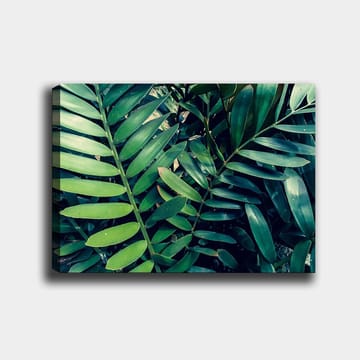 Lerretsbilde 70x100 cm - Tettvevde grønne planteblader som skaper en frodig og levende følelse - Mørkegrønn / Lysegrønn - Interiør - Maleri & posters - Lerretsbilder