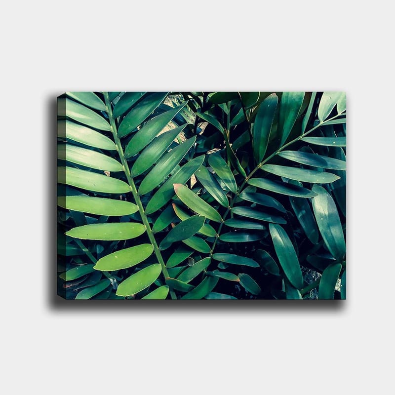 Lerretsbilde 70x100 cm - Tettvevde grønne planteblader som skaper en frodig og levende følelse, Mørkegrønn / Lysegrønn