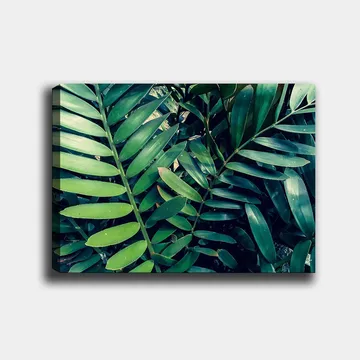 Lerretsbilde 70x100 cm - Tettvevde grønne planteblader som skaper en frodig og levende følelse - Mørkegrønn / Lysegrønn - Interiør - Maleri & posters - Lerretsbilder