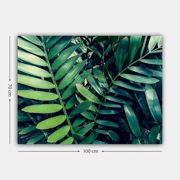 Lerretsbilde 70x100 cm - Tettvevde grønne planteblader som skaper en frodig og levende følelse - Mørkegrønn / Lysegrønn - Interiør - Maleri & posters - Lerretsbilder
