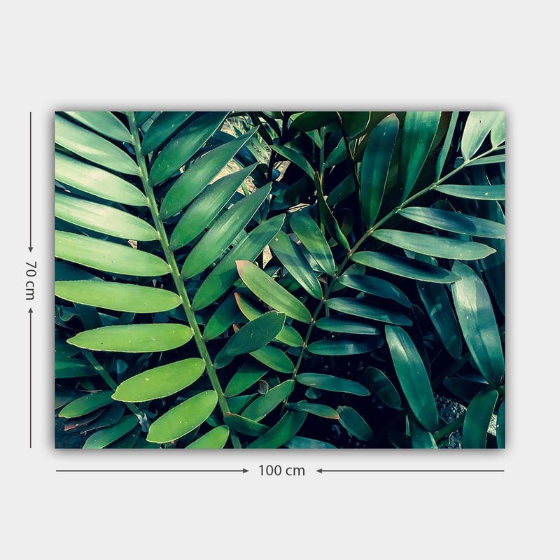 Lerretsbilde 70x100 cm - Tettvevde grønne planteblader som skaper en frodig og levende følelse - Mørkegrønn / Lysegrønn - Interiør - Maleri & posters - Lerretsbilder