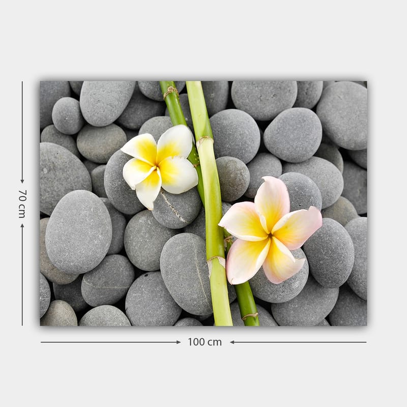 Lerretsbilde 70x100 cm - To blomster i pastellfarger som ligger på en samling grå steiner - Grå / Gul / Rosa - Interiør - Maleri & posters - Lerretsbilder