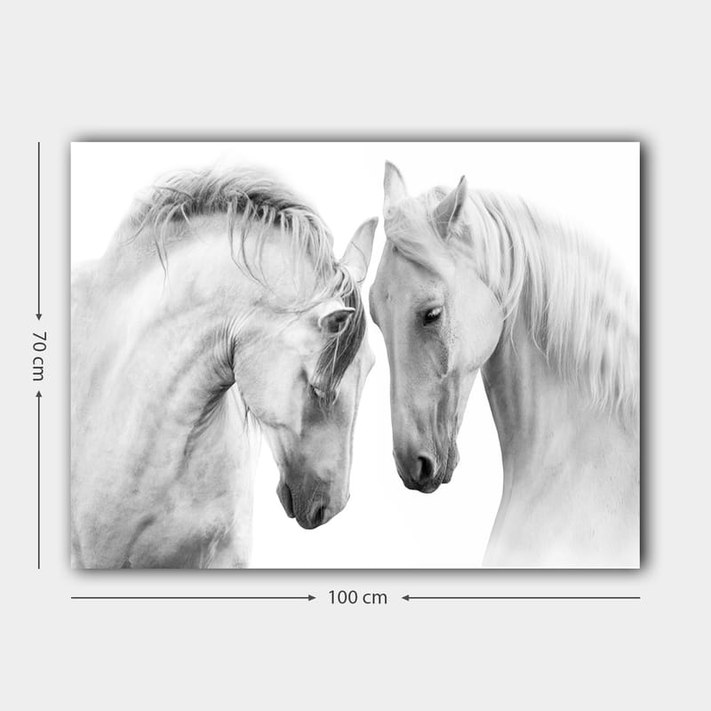 Lerretsbilde 70x100 cm - To elegante hester som står tett inntil hverandre og viser en følelse av samhørighet - Hvit / Grå - Interiør - Maleri & posters - Lerretsbilder