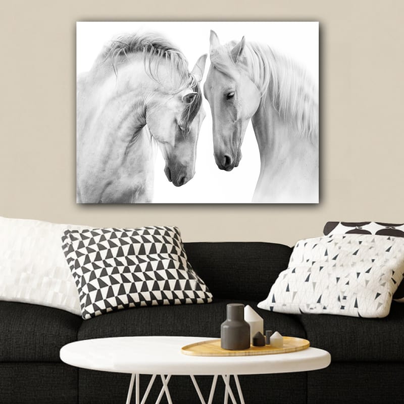 Lerretsbilde 70x100 cm - To elegante hester som står tett inntil hverandre og viser en følelse av samhørighet - Hvit / Grå - Interiør - Maleri & posters - Lerretsbilder