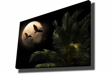 Lerretsbilde 70x100 cm - To fugler som flyr mot en stor måne over en palmelignende plante - Mørk grønn / Grå / Beige - Interiør - Maleri & posters - Lerretsbilder