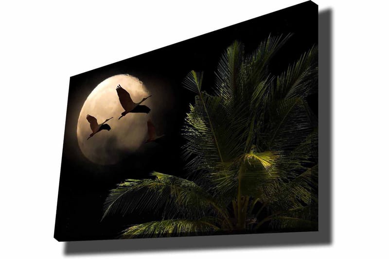 Lerretsbilde 70x100 cm - To fugler som flyr mot en stor måne over en palmelignende plante - Mørk grønn / Grå / Beige - Interiør - Maleri & posters - Lerretsbilder