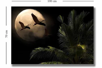 Lerretsbilde 70x100 cm - To fugler som flyr mot en stor måne over en palmelignende plante - Mørk grønn / Grå / Beige - Interiør - Maleri & posters - Lerretsbilder
