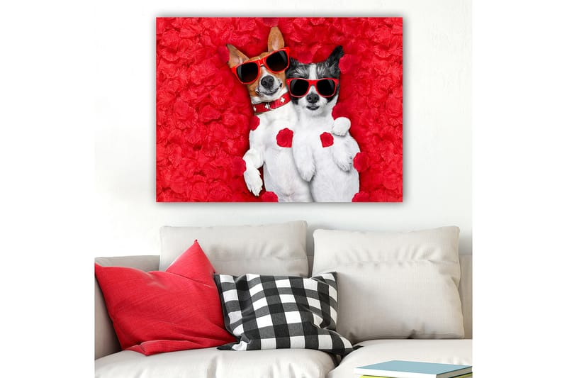 Lerretsbilde 70x100 cm - To hunder som ligger sammen på en rød blomsterbakgrunn, med solbriller - Rød / Hvit / Svart - Interiør - Maleri & posters - Lerretsbilder