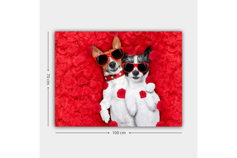 Lerretsbilde 70x100 cm - To hunder som ligger sammen på en rød blomsterbakgrunn, med solbriller - Rød / Hvit / Svart - Interiør - Maleri & posters - Lerretsbilder