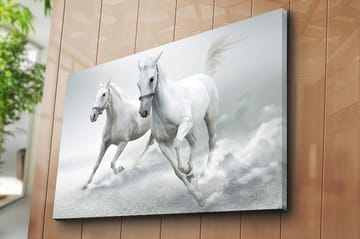 Lerretsbilde 70x100 cm - To hvite hester galopperer fremover i en dynamisk bevegelse - Hvit / Grå - Interiør - Maleri & posters - Lerretsbilder