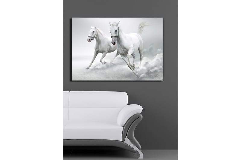 Lerretsbilde 70x100 cm - To hvite hester galopperer fremover i en dynamisk bevegelse - Hvit / Grå - Interiør - Maleri & posters - Lerretsbilder