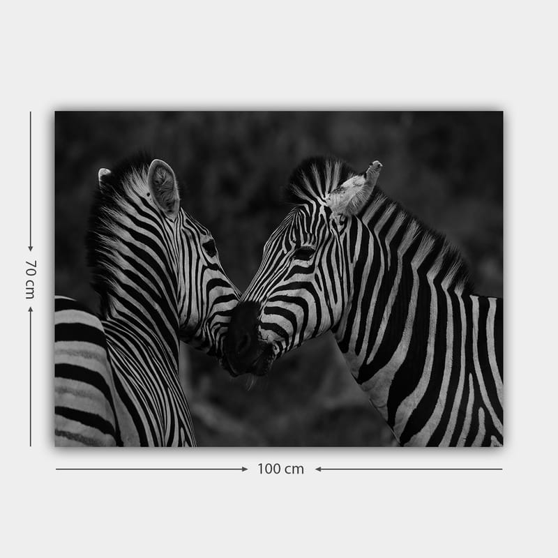 Lerretsbilde 70x100 cm - To sebraer som står tett inntil hverandre og viser sin samhørighet - Svart / Hvit - Interiør - Maleri & posters - Lerretsbilder