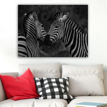 Lerretsbilde 70x100 cm - To sebraer som står tett inntil hverandre og viser sin samhørighet - Svart / Hvit - Interiør - Maleri & posters - Lerretsbilder
