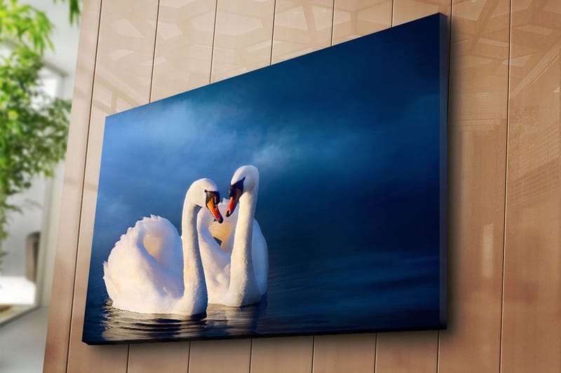 Lerretsbilde 70x100 cm - To svaner som danner et hjerte med halsen i en romantisk og fredelig atmosfære - Hvit / Mørk blå - Interiør - Maleri & posters - Lerretsbilder