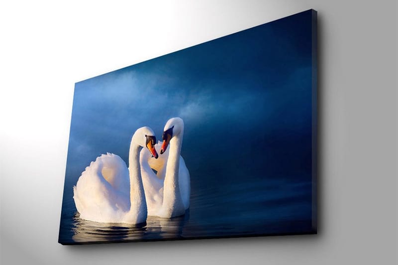 Lerretsbilde 70x100 cm - To svaner som danner et hjerte med halsen i en romantisk og fredelig atmosfære - Hvit / Mørk blå - Interiør - Maleri & posters - Lerretsbilder