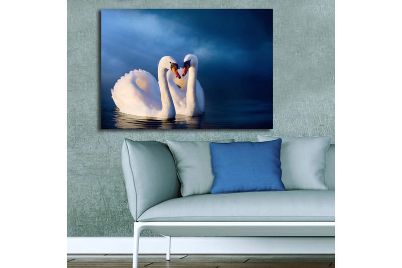 Lerretsbilde 70x100 cm - To svaner som danner et hjerte med halsen i en romantisk og fredelig atmosfære - Hvit / Mørk blå - Interiør - Maleri & posters - Lerretsbilder