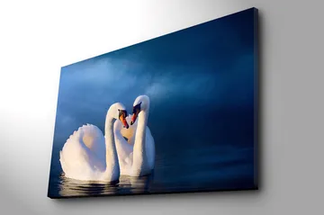 Lerretsbilde 70x100 cm - To svaner som danner et hjerte med halsen i en romantisk og fredelig atmosfære - Hvit / Mørk blå - Interiør - Maleri & posters - Lerretsbilder