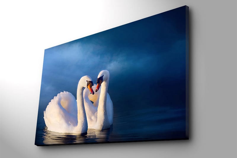 Lerretsbilde 70x100 cm - To svaner som danner et hjerte med halsen i en romantisk og fredelig atmosfære - Hvit / Mørk blå - Interiør - Maleri & posters - Lerretsbilder
