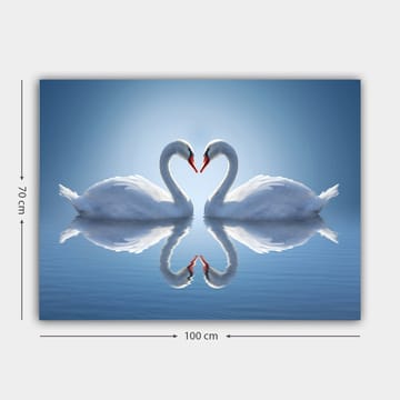 Lerretsbilde 70x100 cm - To svaner som danner et hjerte med halsene i speilbilde på vannet - Hvit / Rød / Blå - Interiør - Maleri & posters - Lerretsbilder