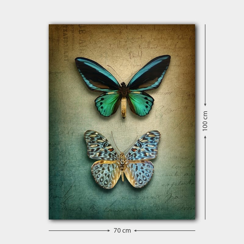 Lerretsbilde 70x100 cm - To vakre sommerfugler i en harmonisk komposisjon - Turkis / Grønn / Blå - Interiør - Maleri & posters - Lerretsbilder
