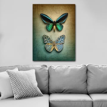 Lerretsbilde 70x100 cm - To vakre sommerfugler i en harmonisk komposisjon - Turkis / Grønn / Blå - Interiør - Maleri & posters - Lerretsbilder