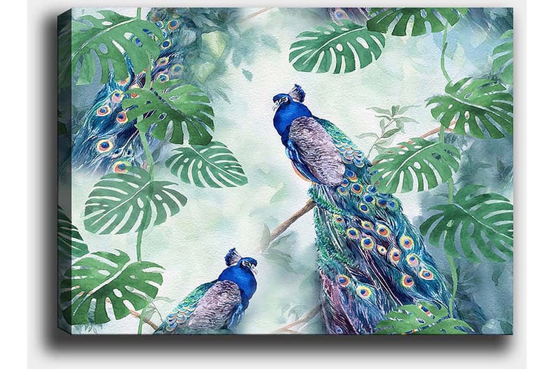 Lerretsbilde 70x100 cm - To påfugler som sitter blant grønne planter i et levende og fargerikt miljø - Blå / Grønn / Turkis - Interiør - Maleri & posters - Lerretsbilder