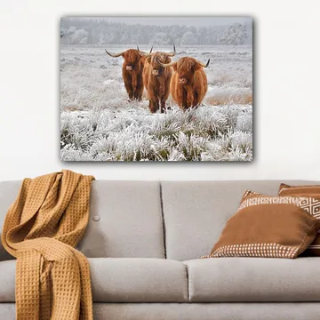 Lerretsbilde 70x100 cm - Tre høylandssauer i et frostlandskap - Oransje / Hvit / Grå - Interiør - Maleri & posters - Lerretsbilder