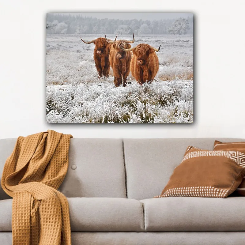 Lerretsbilde 70x100 cm - Tre høylandssauer i et frostlandskap, Oransje / Hvit / Grå