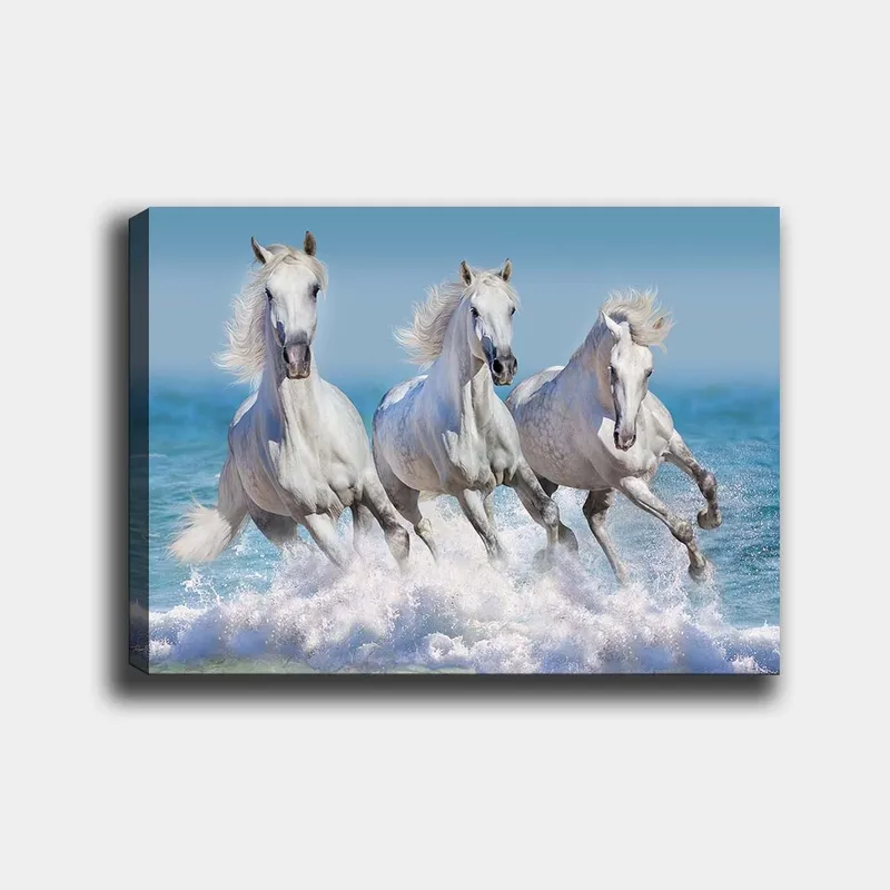 Lerretsbilde 70x100 cm - Tre hvite hester galopperer gjennom bølgene ved havet, Hvit / Lys blå / Turkis